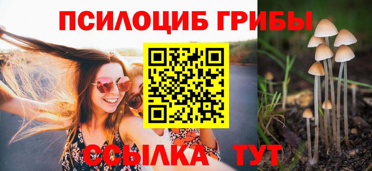 Дальнегорск  Псилоцибиновые грибы ЛСД  Вход с VPN 
