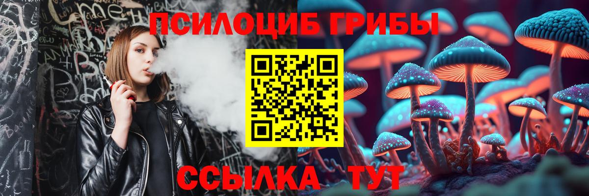 купить   Галлюциногенные грибы Psilocybine cubensis  Дальнегорск  Псилоцибиновые грибы GOLDEN TEACHER 