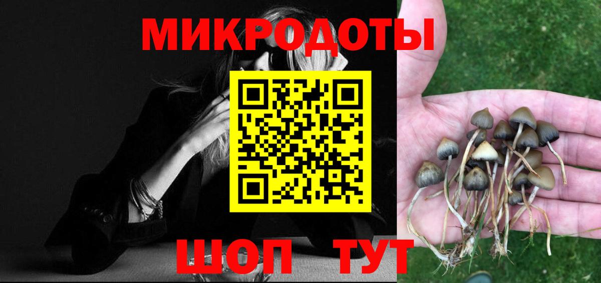 Галлюциногенные грибы прущие грибы Дальнегорск